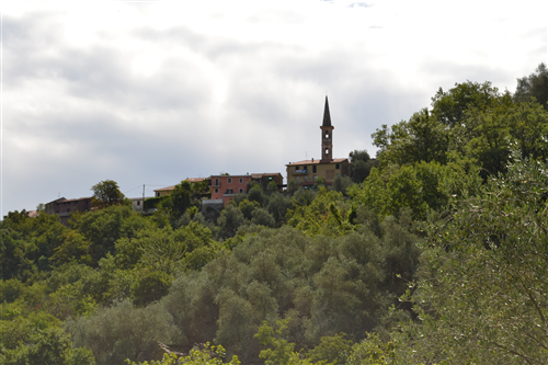 Frazione Bosco